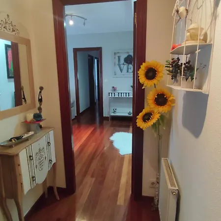 Velamayor Garaje Y Piscinas Castro-Urdiales